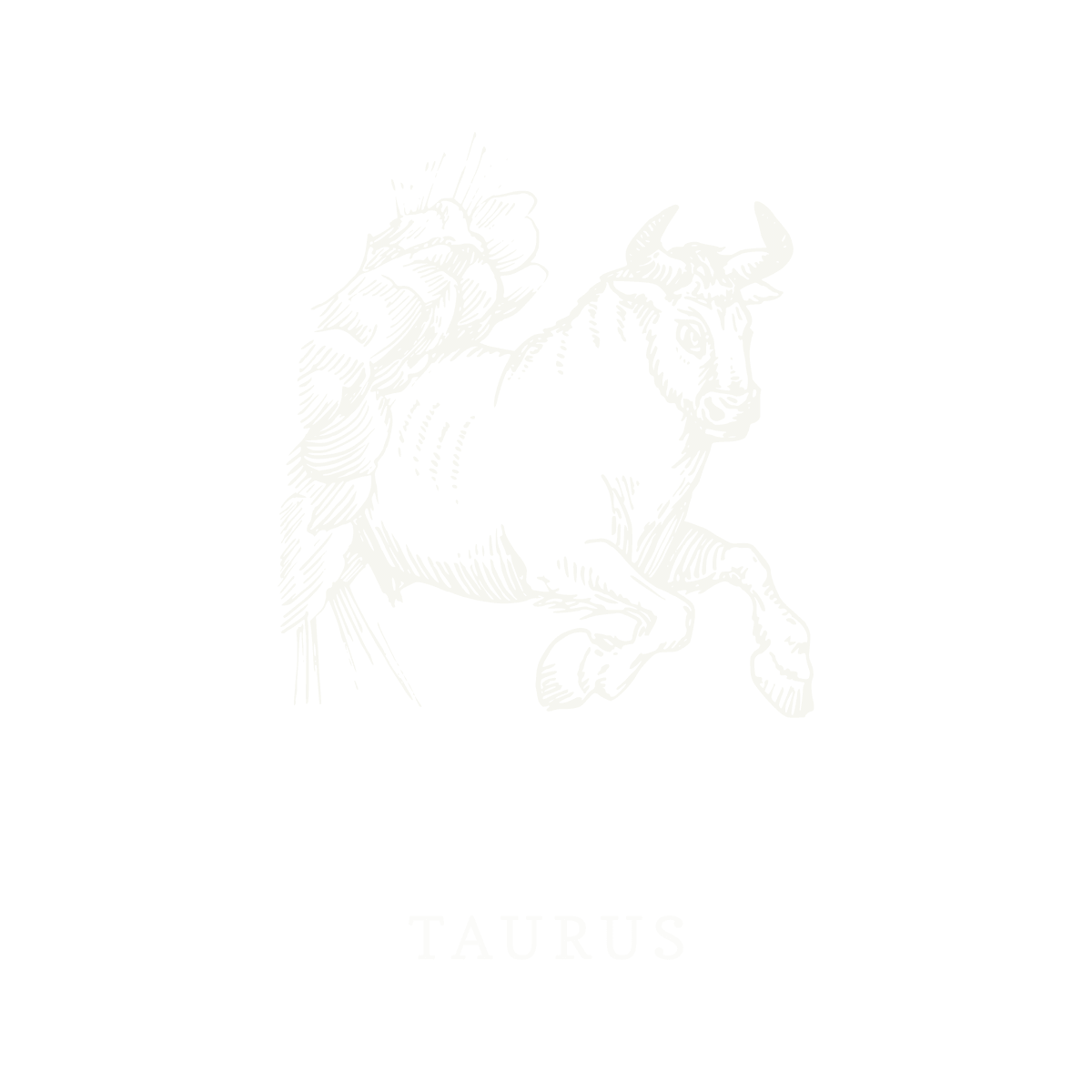 Símbolo do signo de Touro, ilustração em linework